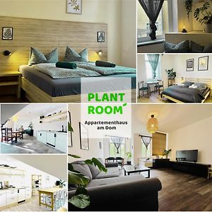 Apartmenthaus Am Dom - Marktplatz, Zentrum, Halle An Der Saale